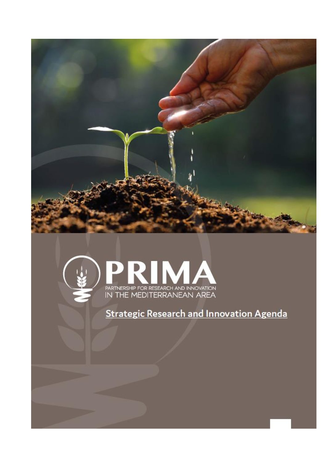 Strategic Research and Innovation Agenda
