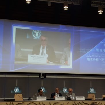 Workshop PRIMA – FAO, le immagini e gli interventi