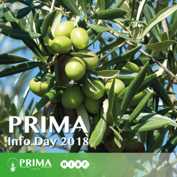 PRIMA Info-Day – Roma, 13 dicembre