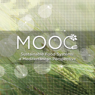 Il MOOC “Sustainable Food Systems: a Mediterranean perspective” entra nell’offerta didattica del programma Erasmus + Virtual Exchange della Commissione Europea