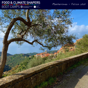 Il Segretariato Italiano di PRIMA partner del Boot Camp di Future Food Institute e FAO che celebra la Dieta Mediterranea