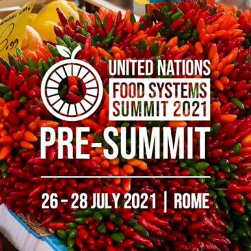 Angelo Riccaboni partecipa ai lavori del Pre-Vertice delle Nazioni Unite sul futuro sostenibile dei Sistemi Alimentari