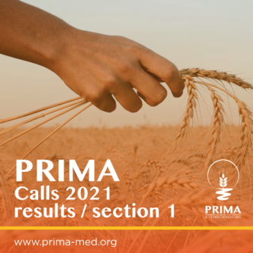 Bandi PRIMA 2021 – Sezione 1: quasi 7 milioni di euro per la ricerca e innovazione italiana presente in tutti gli 11 progetti finanziati