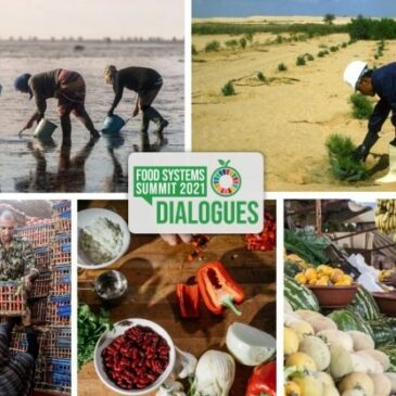 3° Dialogo Indipendente sul futuro dei sistemi agrifood nel Mediterraneo