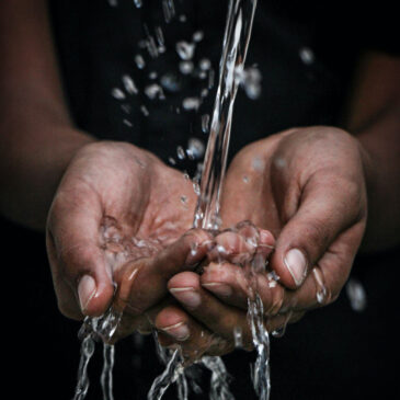 30° World Water Day: il prof Riccaboni ospite al Digital Talk talk “Acqua e Alimentazione Sostenibile” di EarthDayItalia