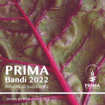 Attività di Supporto Bandi PRIMA 2022 – Stage 2