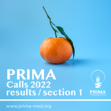 Bandi PRIMA 2022 – Sezione 1: quasi 6 milioni di euro per la ricerca e innovazione italiana presente in 7 dei 9 progetti finanziati