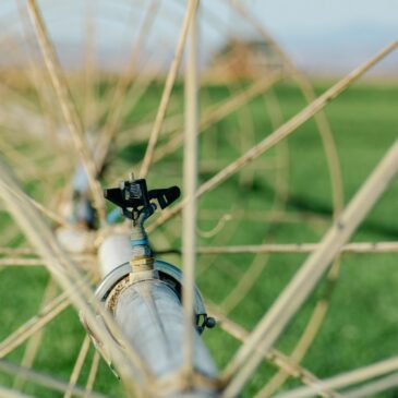 Recuperare acqua per salvare l’agricoltura: il Segretariato di PRIMA ospite alla “Conferenza internazionale sulla gestione sostenibile dell’acqua”, Sassari (4-5 luglio)