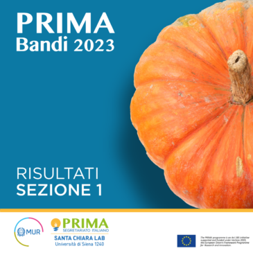 Bandi PRIMA 2023 – Sezione 1: più di 7 milioni di euro per la ricerca e innovazione italiana presente in 8 dei 9 progetti finanziati