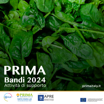 Attività di Supporto Bandi PRIMA 2024 – Stage 2